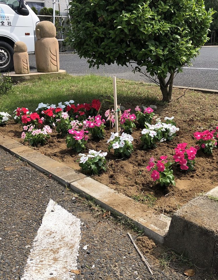 それぞれの花事情