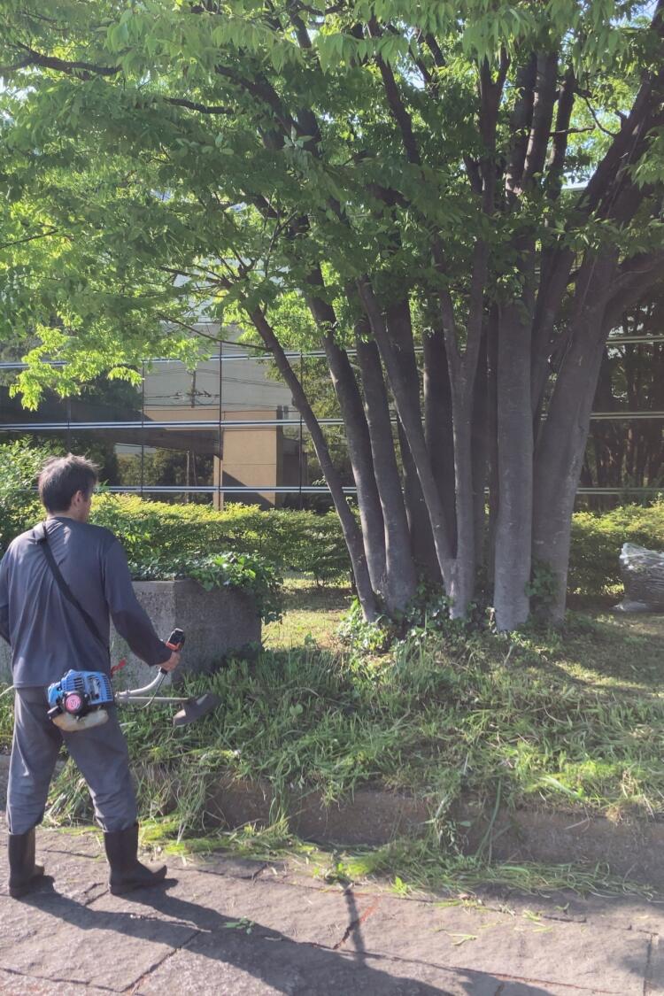 環境整備に精を出しました