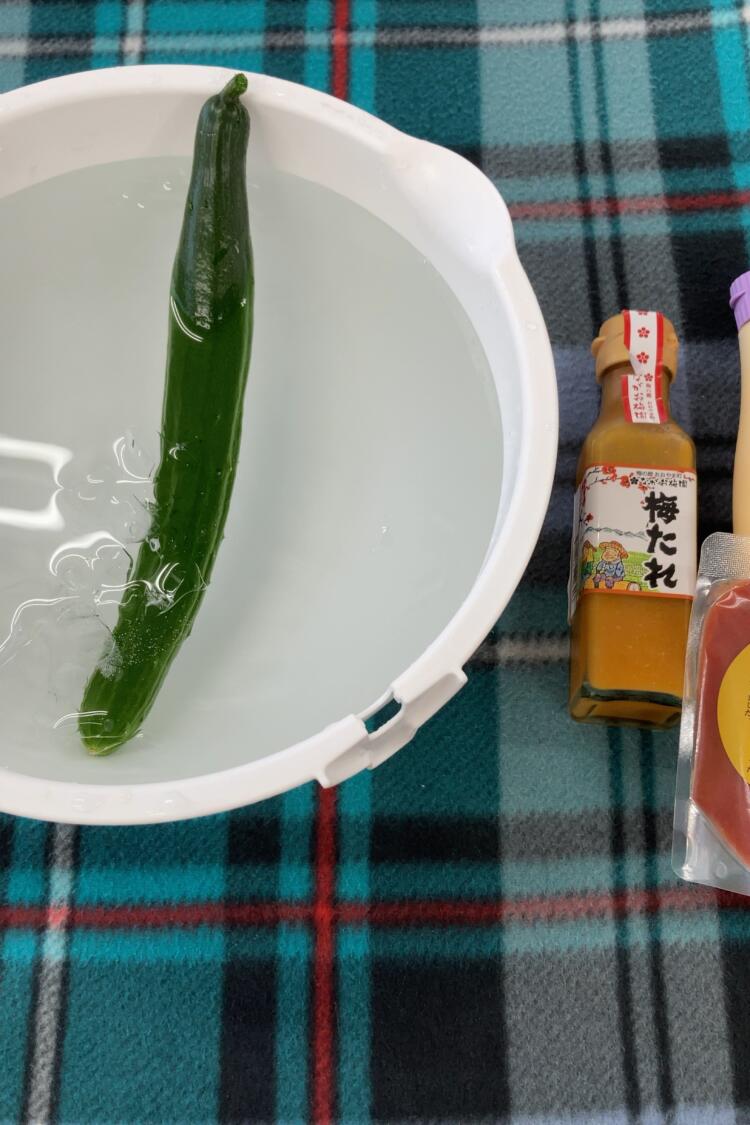 きゅうり🥒収穫報告🎉