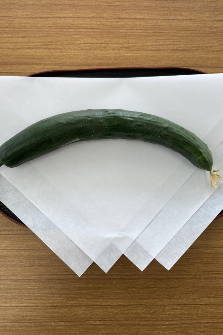 献上きゅうり🥒初収穫